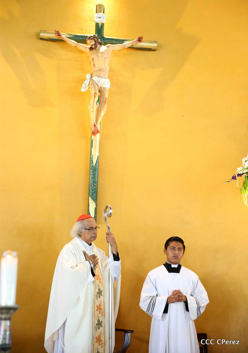 Brenes3
